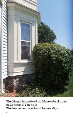 hcl_pic07_homestead_conesus_marsh_fetzner_detail_2012_resize240x320