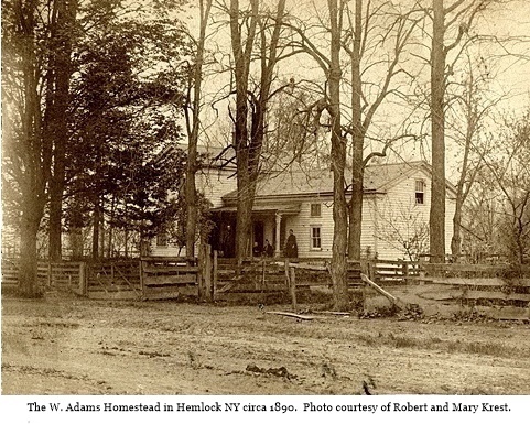 hcl_homestead_hemlock_adams_w_1890c_resize480x360