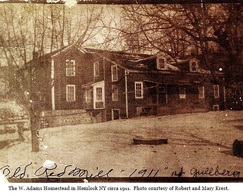 hcl_homestead_hemlock_adams_w_1911_resize480x360