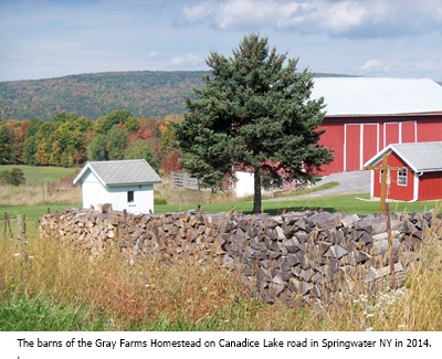 hcl_homestead_springwater_gray_2014_barns03_resize400x300