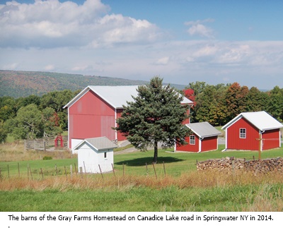 hcl_homestead_springwater_gray_2014_barns04_resize400x300