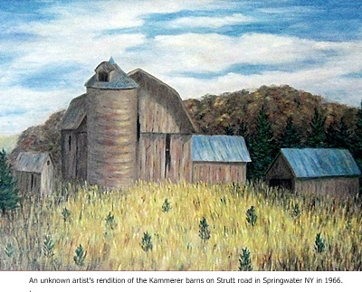 hcl_homestead_springwater_kammerer_1966_artist_rendition01a_resize400x300