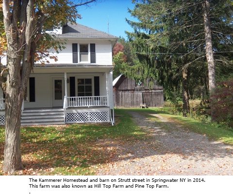 hcl_homestead_springwater_kammerer_2014_house_and_barn_strutt_road_east_side_resize480x360