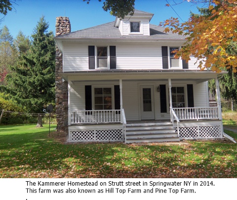 hcl_homestead_springwater_kammerer_2014_house_strutt_road_east_side_resize480x360