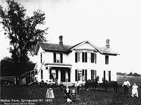 hcl_homestead_springwater_walker_1890_resize480x360