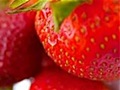 hcl_xtra_canadice_strawberry_fest_120x90