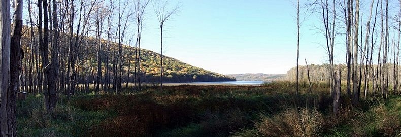 hcl_lake_scene_canadice_2010_panoramic_resize790x270