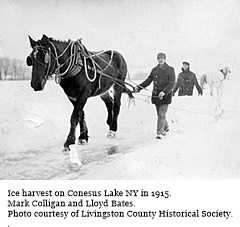 hcl_library_memories_briggs_ira_1959_memories_of_hemlock_lake_ice_harvests_resize240x180