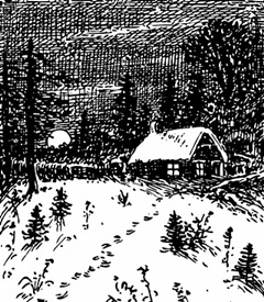 hcl_news_article_1995_07_burning_wood_by_earl_mastin_for_canadice_chronicle_house_resize240