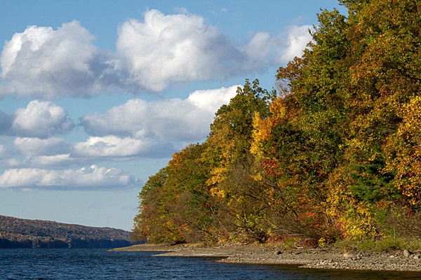 hcl_photo_dangler_dan_2022_pic02_hemlock_lake_looking_north_resize600x400