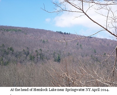 hcl_photo_gallery_tripp_judy_head_of_hemlock_lake_april_2014_pic02_resize400x300