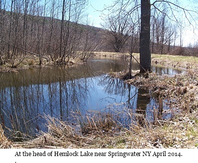 hcl_photo_gallery_tripp_judy_head_of_hemlock_lake_april_2014_pic03_resize400x300