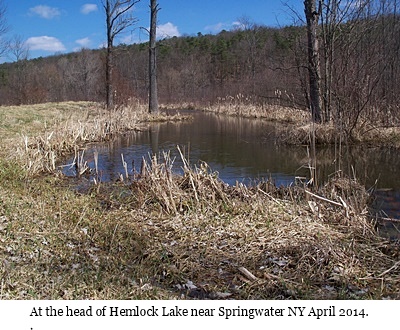 hcl_photo_gallery_tripp_judy_head_of_hemlock_lake_april_2014_pic05_resize400x300