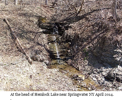 hcl_photo_gallery_tripp_judy_head_of_hemlock_lake_april_2014_pic08_resize400x300