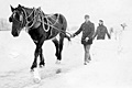 hcl_podcast_briggs_ira_1959_ice_harvests_120x80