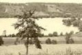 hcl_reservoir__index_history_brief_120x80