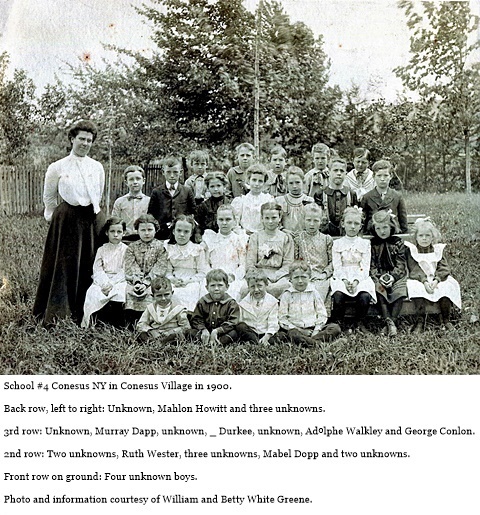 hcl_school_conesus_num04_class_1900_pic02_resize480x375