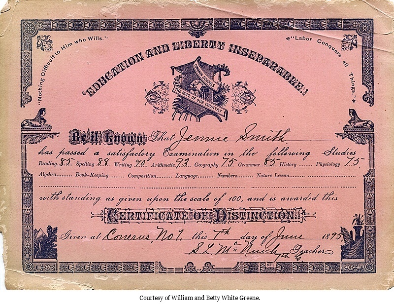 hcl_school_conesus_document_num04_1895_certificate_jennie_smith02_resize800x588