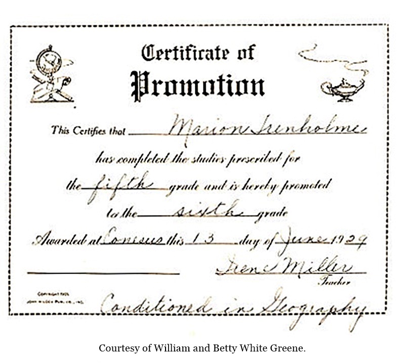 hcl_school_conesus_document_num04_1929_certificate_marion_trenholme_resize800x668