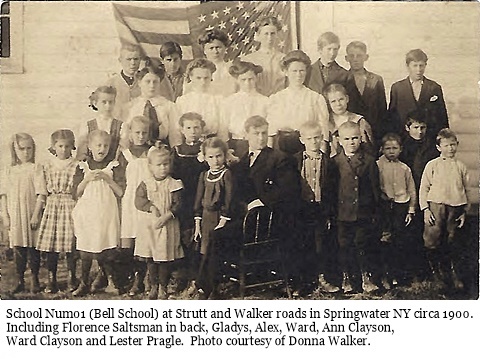 hcl_school_springwater_num01_class_1900c_strutt_and_walker_roads_resize480x300