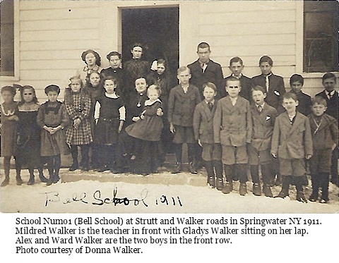 hcl_school_springwater_num01_class_1911_strutt_and_walker_roads_resize480x300