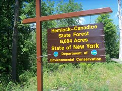 hcl_state_forest_sign2_ro030